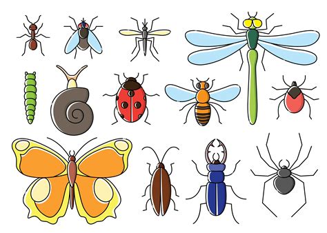 clipart images of insects